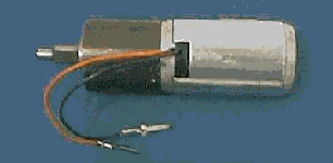 [Globe Motor (FIRST)]