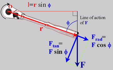 Net Torque Equation